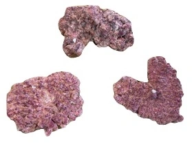 AquaForest Syntetisk Rock pr kg (Til Levende sten)